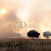 Un gran incendio deja 700 hectáreas quemadas en Madroñera (Cáceres)