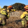 Un gran incendio deja 700 hectáreas quemadas en Madroñera (Cáceres)