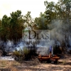 Incendio forestal en las Vegas Bajas del Guadiana