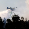 Incendio forestal en las Vegas Bajas del Guadiana