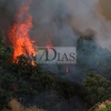 Incendio forestal en las Vegas Bajas del Guadiana