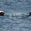 Angustia en el embalse de Proserpina, buscan a una persona desaparecida