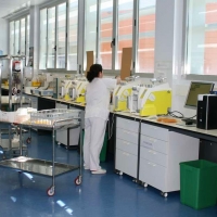 100.000 € para que Extremadura obtenga plasma hiperinmune: puede salvar vidas