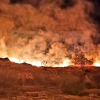 Los Bomberos del SEPEI actúan en un incendio cercano a viviendas en Plasencia
