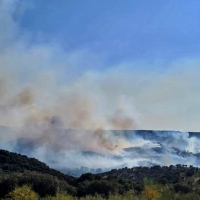 Extremadura: 33 incendios forestales afectan a 687 hectáreas los últimos 7 días