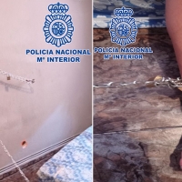 La Policía libera a un hombre encadenado a la pared por su propia familia