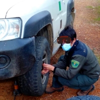 La Junta discrimina a las Agentes del Medio Natural embarazadas, según APAMNEX