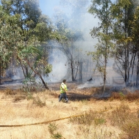 Amplio dispositivo para extinguir un incendio forestal cercano a Badajoz