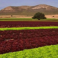 Críticas al plan de regadío de Tierra de Barros: &quot;No es sostenible&quot;