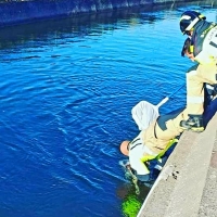 Bomberos del CPEI salvan la vida a un perro en la zona de Don Benito
