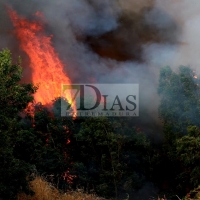 Incendio forestal en las Vegas Bajas del Guadiana