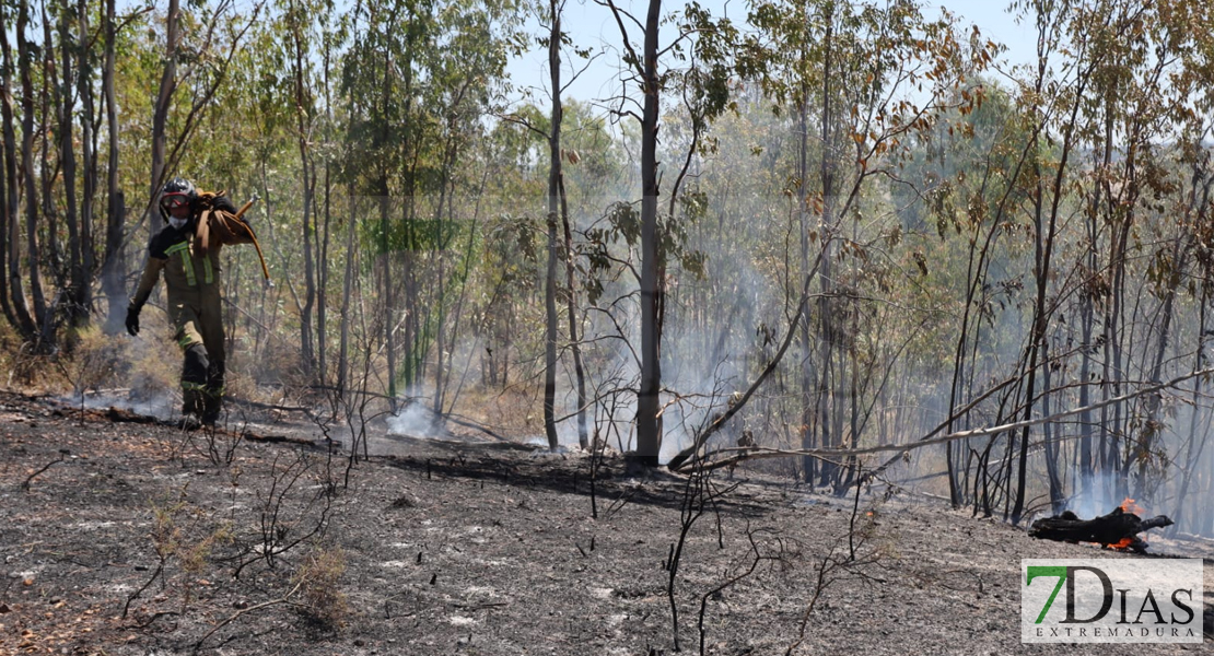 Amplio dispositivo para extinguir un incendio forestal cercano a Badajoz