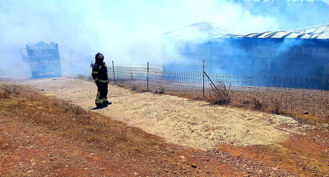 Un nuevo incendio en una nave provoca la muerte de decenas de animales en Extremadura