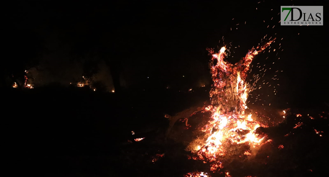 REPOR - Impactante incendio a las afueras de Badajoz