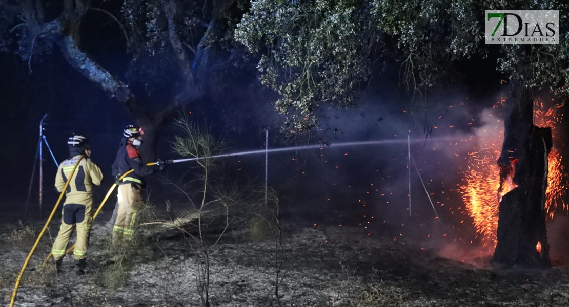 REPOR - Impactante incendio a las afueras de Badajoz