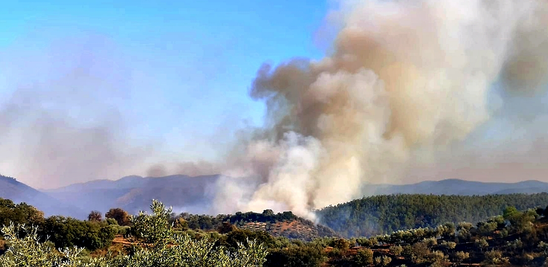 Dificultades para controlar el incendio forestal de la provincia de Cáceres