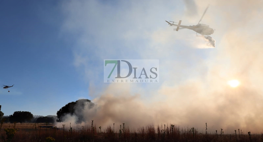 Un gran incendio deja 700 hectáreas quemadas en Madroñera (Cáceres)