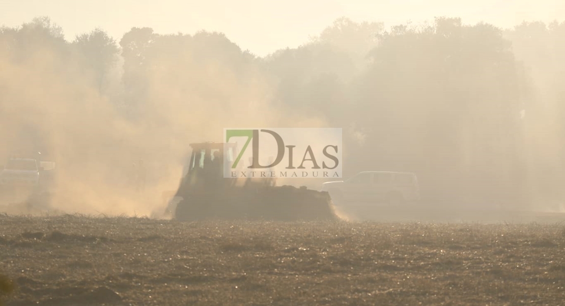 Un gran incendio deja 700 hectáreas quemadas en Madroñera (Cáceres)