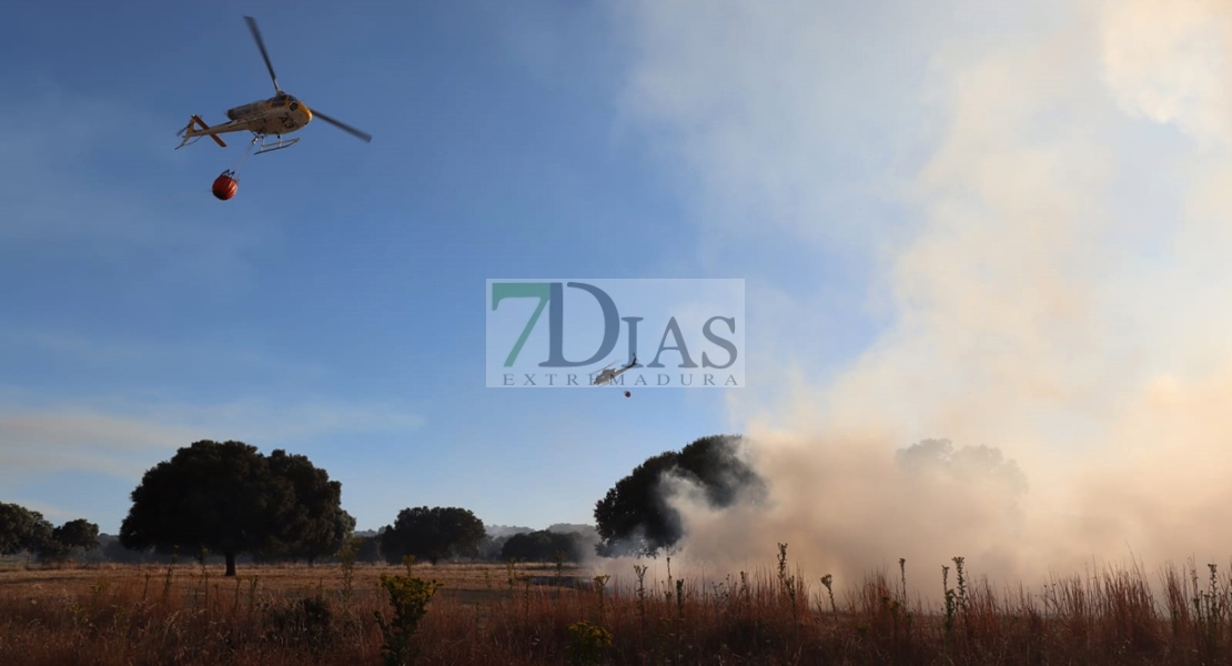 Un gran incendio deja 700 hectáreas quemadas en Madroñera (Cáceres)