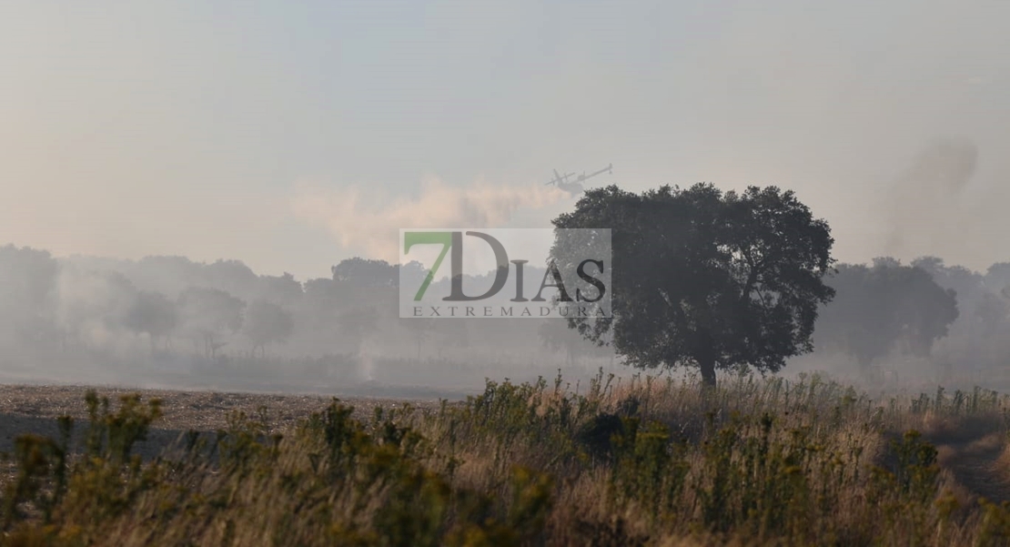 Un gran incendio deja 700 hectáreas quemadas en Madroñera (Cáceres)