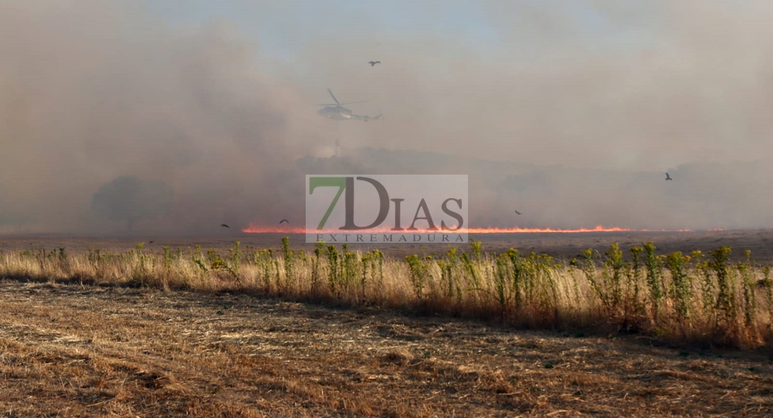 Un gran incendio deja 700 hectáreas quemadas en Madroñera (Cáceres)