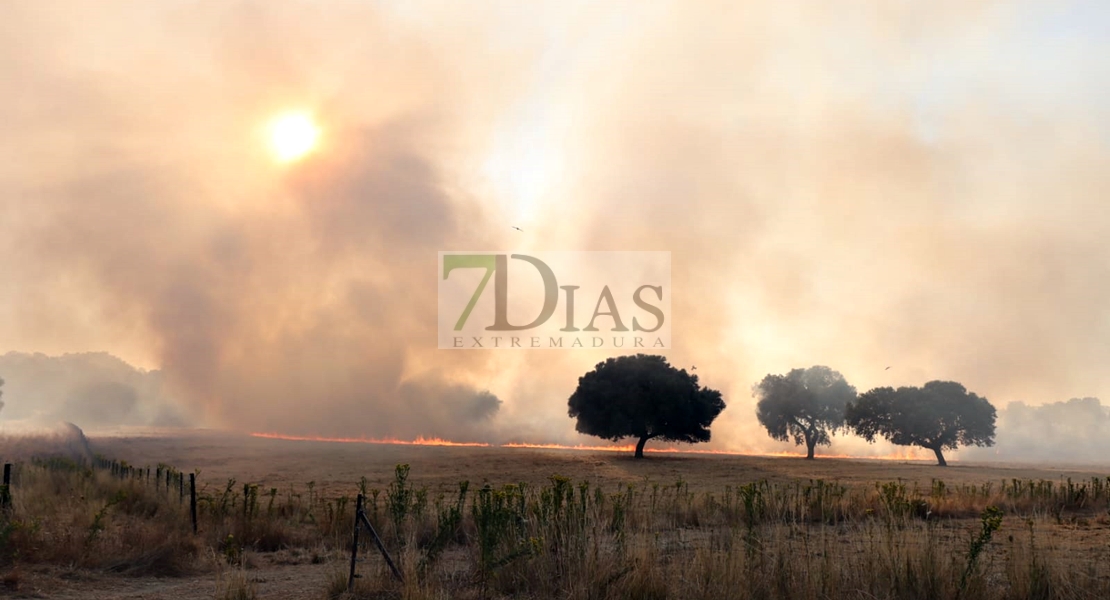 Un gran incendio deja 700 hectáreas quemadas en Madroñera (Cáceres)