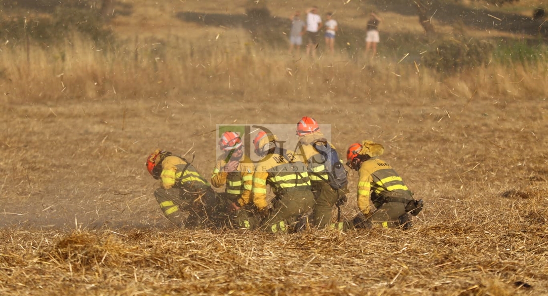 Un gran incendio deja 700 hectáreas quemadas en Madroñera (Cáceres)