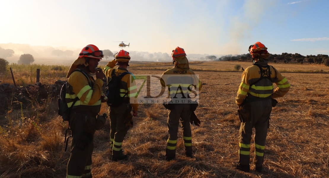 Un gran incendio deja 700 hectáreas quemadas en Madroñera (Cáceres)