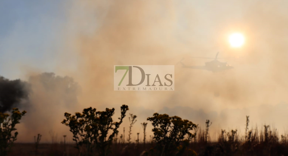 Un gran incendio deja 700 hectáreas quemadas en Madroñera (Cáceres)