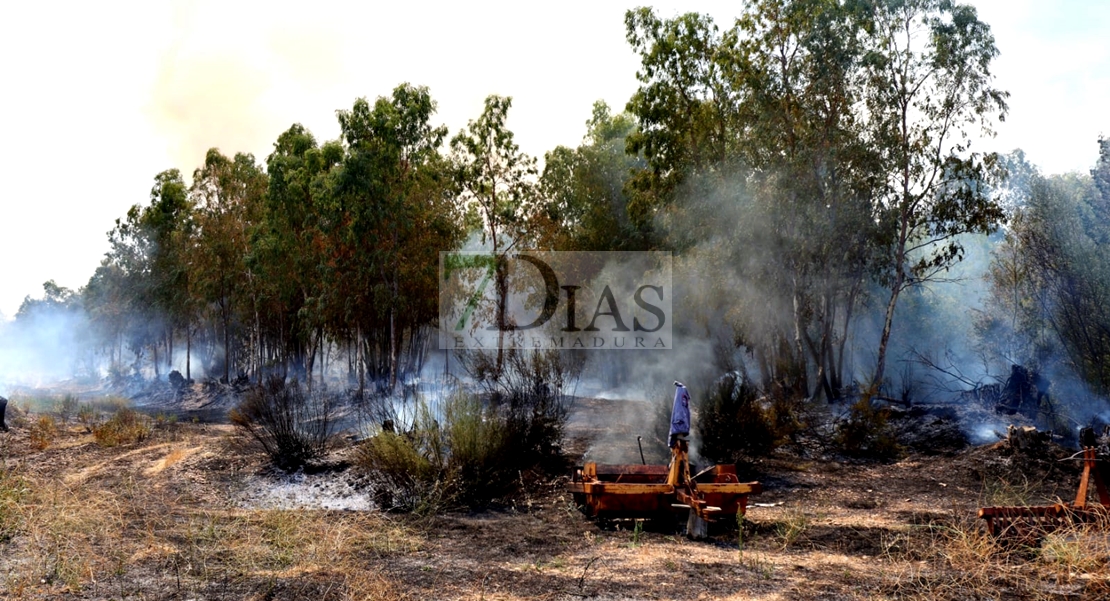 Incendio forestal en las Vegas Bajas del Guadiana