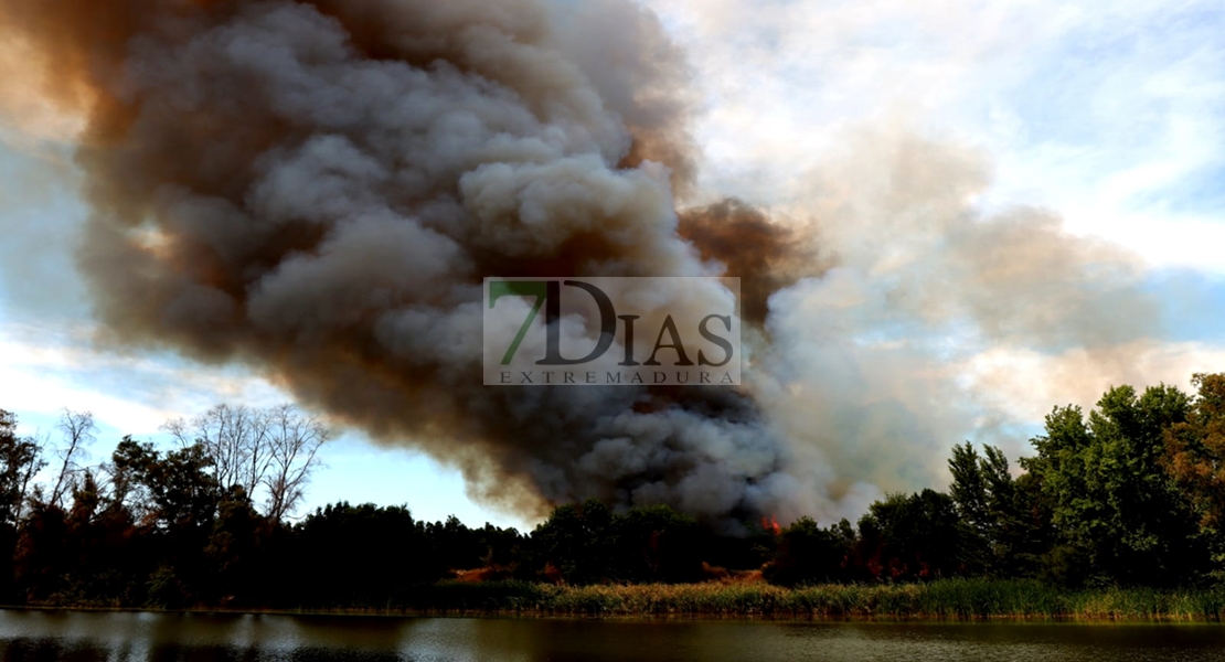 Incendio forestal en las Vegas Bajas del Guadiana