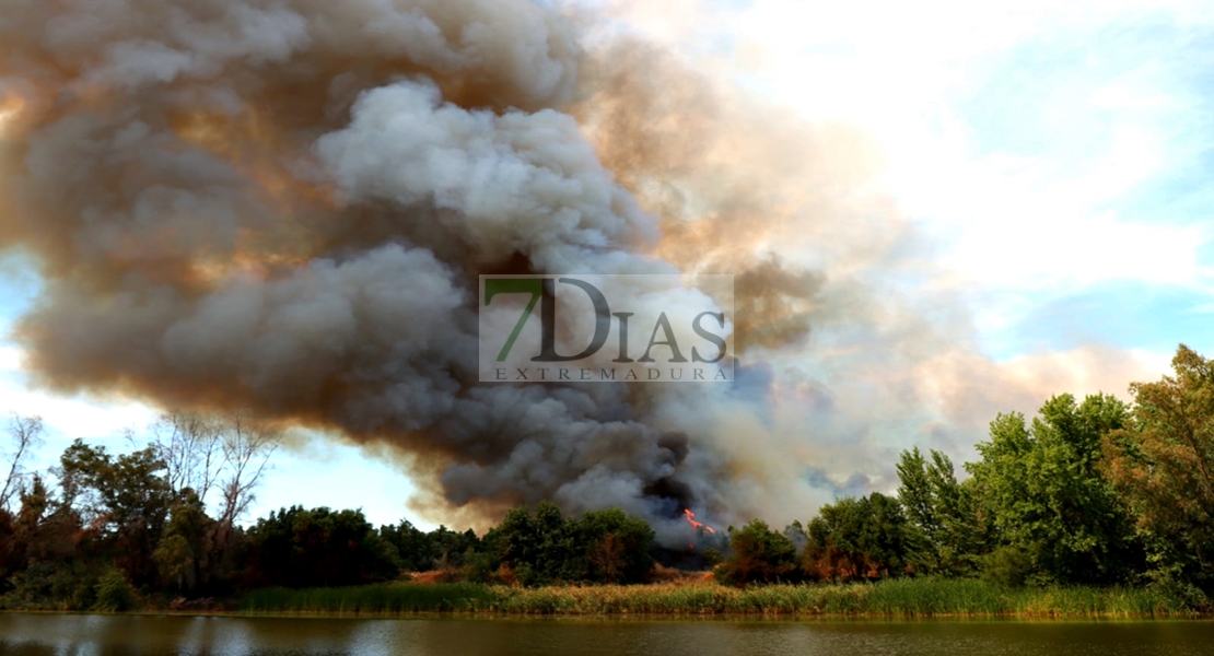 Incendio forestal en las Vegas Bajas del Guadiana