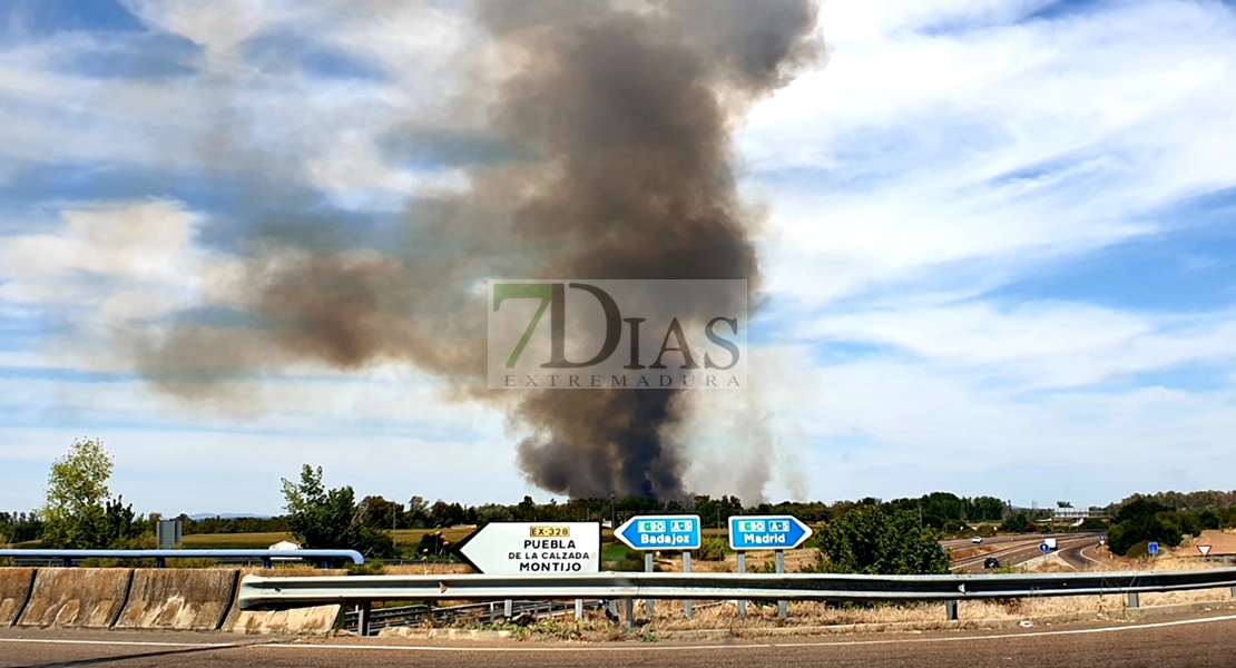 Incendio forestal en las Vegas Bajas del Guadiana