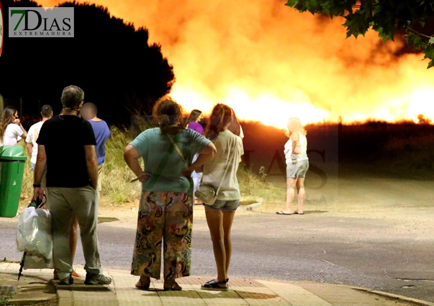 Imágenes del incendio en Las Vaguadas (Badajoz)