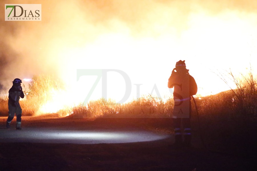 Imágenes del incendio en Las Vaguadas (Badajoz)