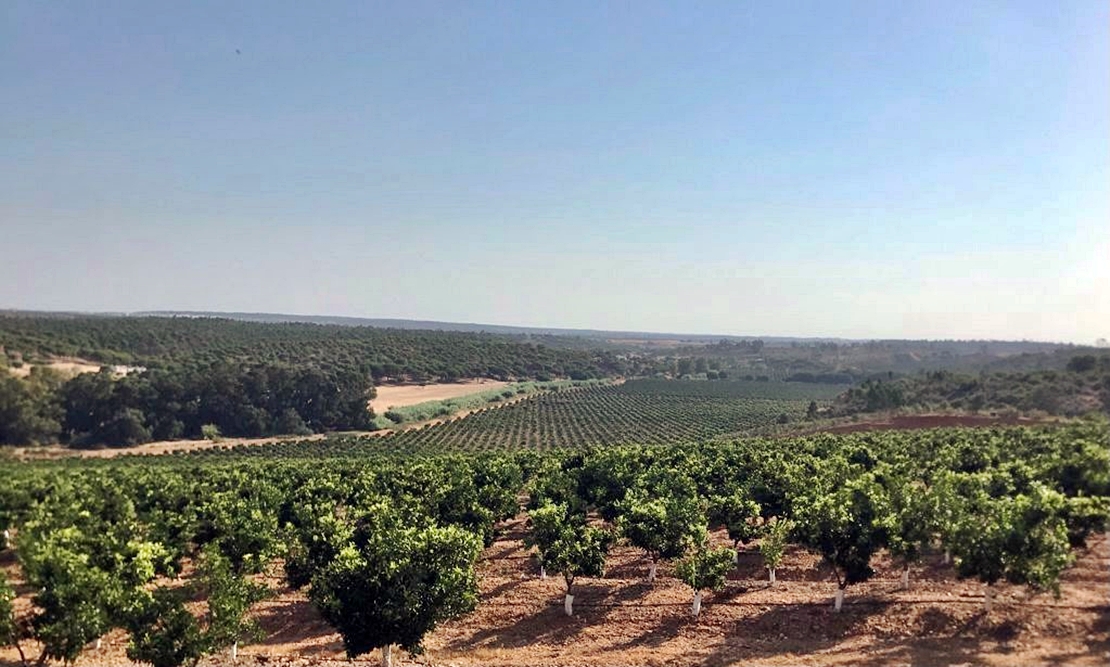 Luz verde a la declaración de impacto ambiental del proyecto de regadío en Tierra de Barros