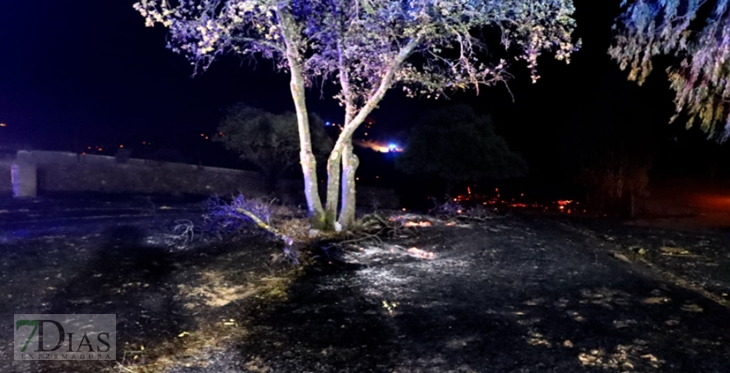 REPOR: Imágenes que deja el incendio forestal de Santiago de Alcántara