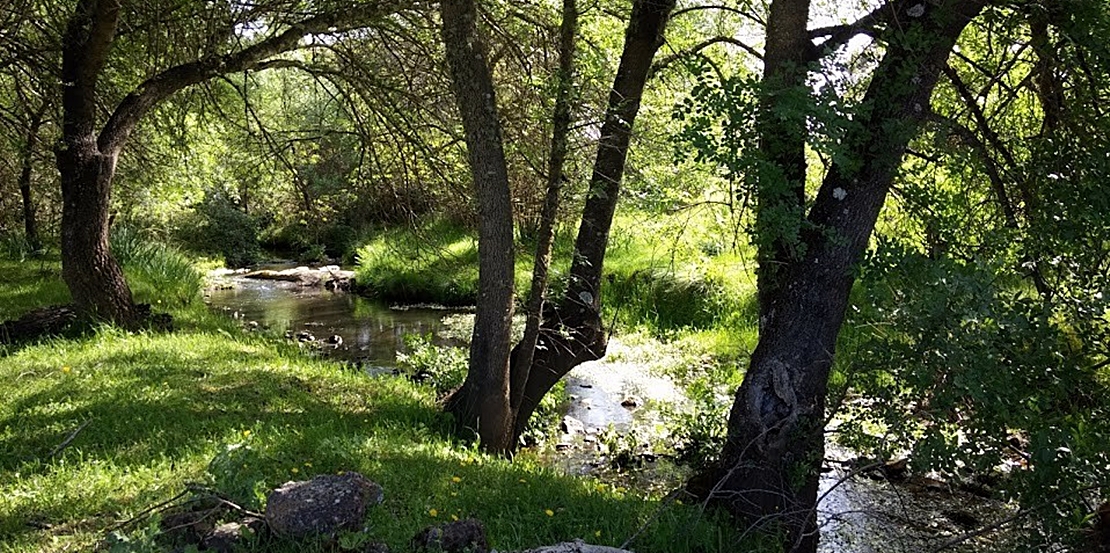 Inversión para desarrollar proyectos de conservación de la naturaleza extremeña