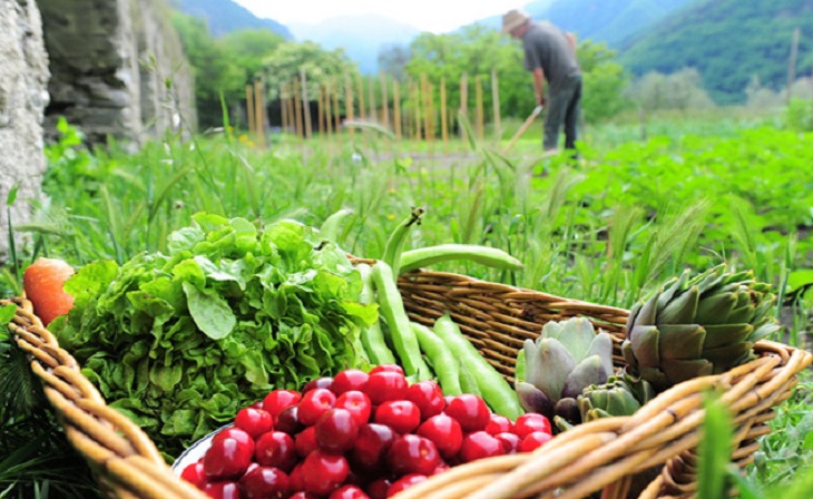 Destacan la importancia del sector ecológico en la región