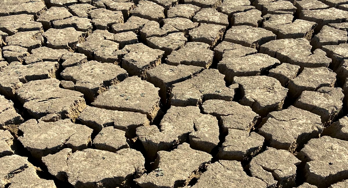 El estado del Embalse de la Serena es desolador