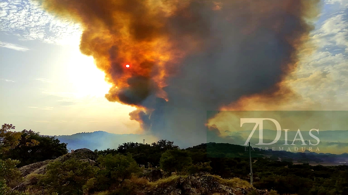 Grave incendio forestal cercano a Alburquerque