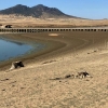 El estado del Embalse de la Serena es desolador