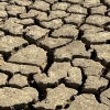 El estado del Embalse de la Serena es desolador