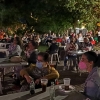 REPOR - Éxito rotundo en las Noches del Parque de San Vicente de Alcántara