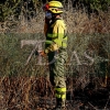 Incendio en las Vegas Bajas del río Guadiana