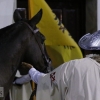 Barcarrota celebra la VII visita guiada nocturna