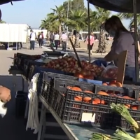 El mercadillo de Mérida se trasladará a una zona próxima