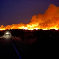 Preocupación en Extremadura por las altas temperaturas la próxima semana