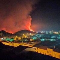 Agricultores y ganaderos, grandes afectados tras el incendio de Alburquerque