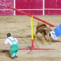 Ecologistas Extremadura espera "sanciones ejemplares" por el espectáculo bombero torero